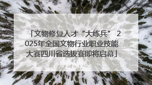 文物修复人才“大练兵” 2025年全国文物行业职业技能大赛四川省选拔赛即将启幕